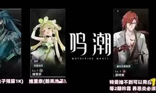 新宫本怎么开荒阵容搭配