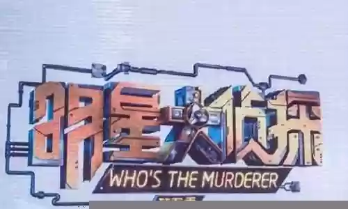 明星大侦探5 阵容推荐