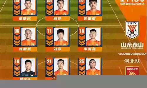 山东泰山2018阵容搭配插图
