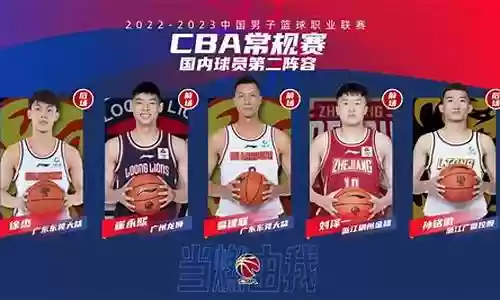 北京篮球全运会阵容介绍