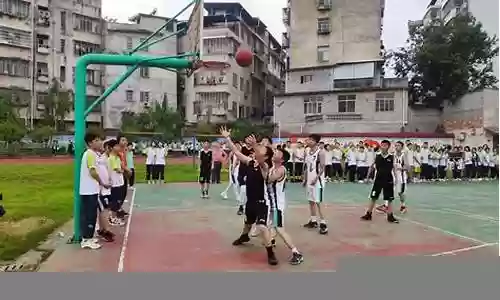 初中打比赛阵容推荐