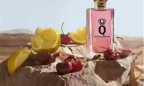 qq炫舞普通宠物阵容搭配插图