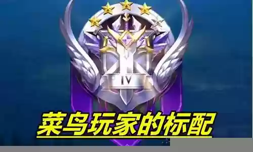 王者荣耀菜鸟最强阵容
