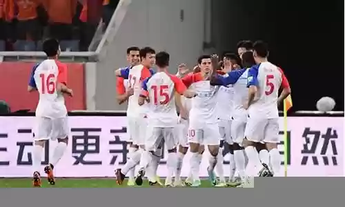 山东申花支持哪个球队阵容