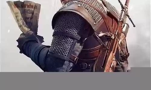巫师3 石之心32级技能加点插图