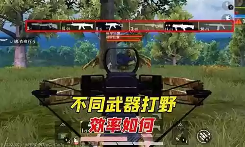 和平精英测试阵容推荐