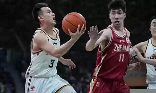 浙江对辽宁阵容队员