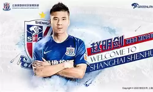 大连申花内援阵容