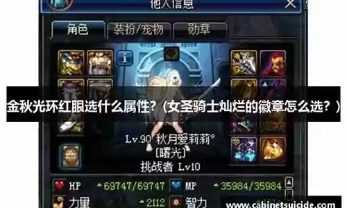 阿拉德之怒元素装备