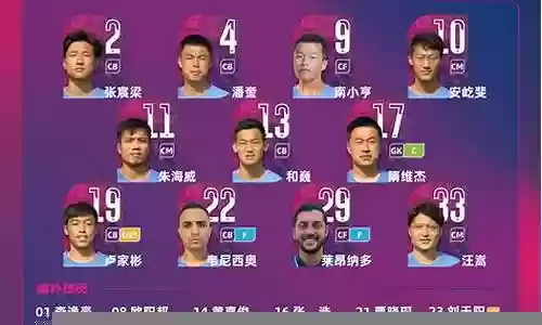 石家庄雄狮历届阵容