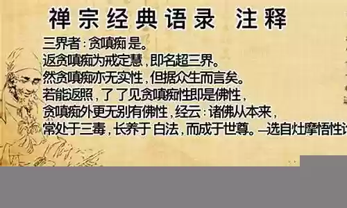 贪嗔痴用什么阵容插图