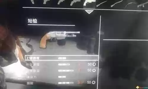 美国末日对战武器插图