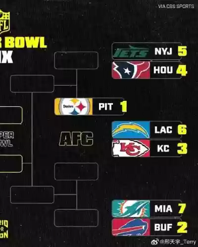 nfl阵容构成插图