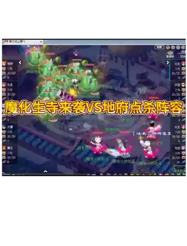 双普陀阵容插图1