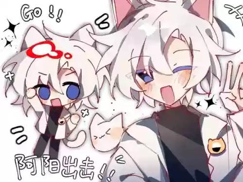 阿阳阵容插图1