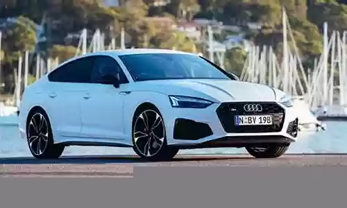 s5打野努努技能