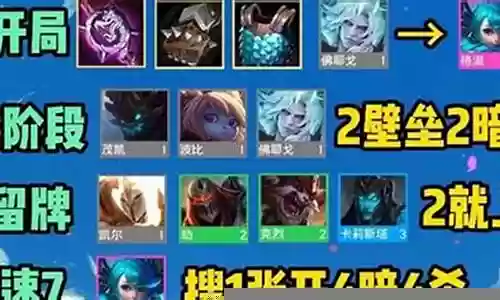神秘黑主套搭配阵容最新插图