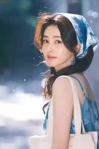 白鹿流阵容插图