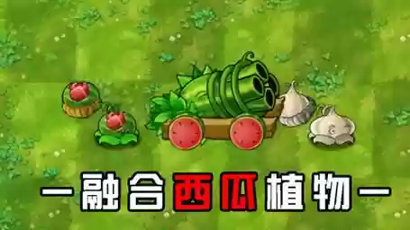 大西瓜阵容