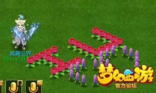 梦幻西游七彩花篮图片大全
