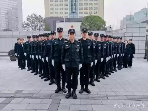 最大保安阵容插图