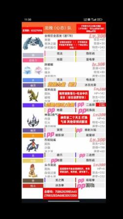 pokemmo前期阵容