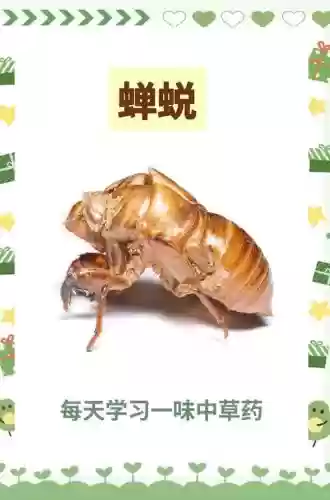 五毒蝉蜕技能效果插图1