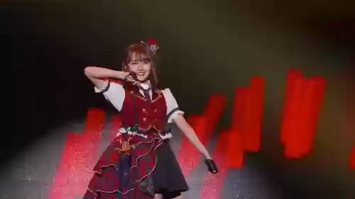 神楠阵容
