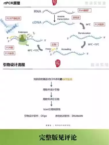 pcr水电阵容