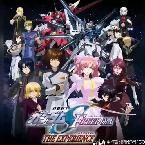 seed飞鸟阵容_1