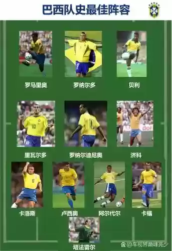 2008巴西阵容