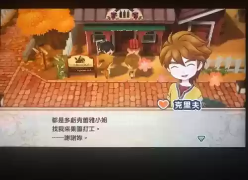 纯真的生活新牧场物语攻略插图