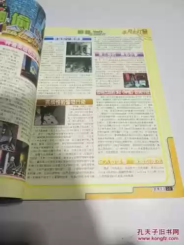 计算机游戏攻略