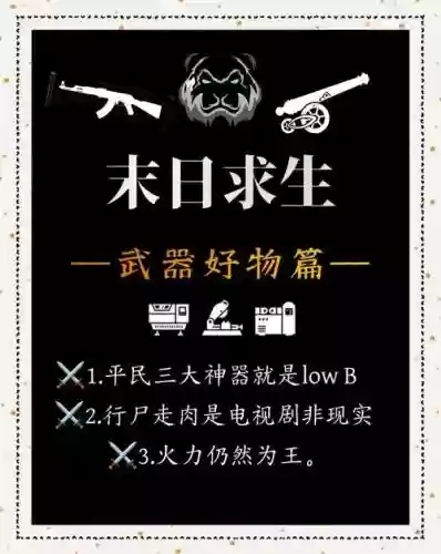 关于武器的法则插图