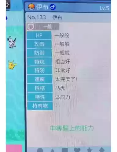 口袋妖怪宝石复刻四周目攻略插图