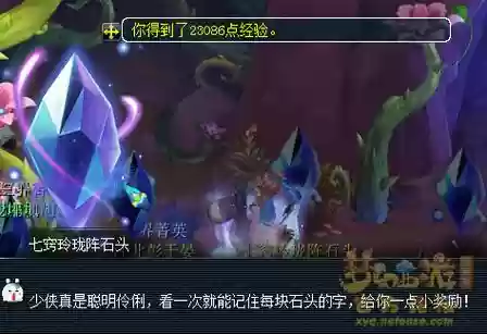 梦幻西游七窍玲珑石头说的话插图