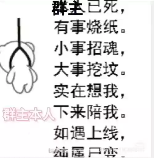 群主阵容不小插图