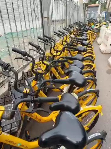 共享单车阵容