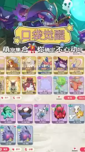 五百兆阵容插图1
