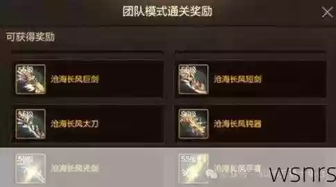 龙跃武器选择插图