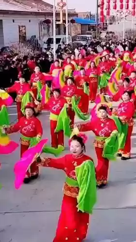 大洋哥阵容