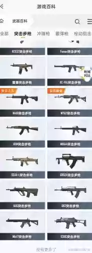 绝地求生全民突击武器介绍插图
