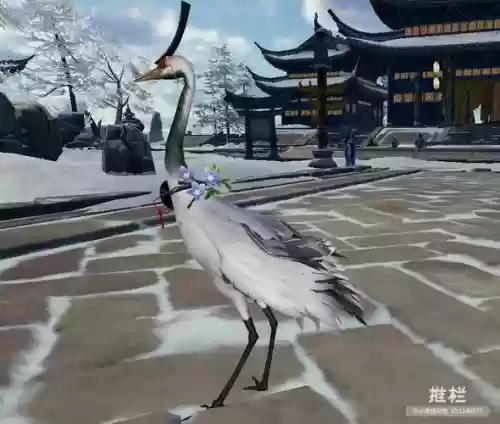 剑网三纯阳仙鹤攻略插图