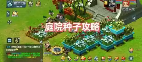 梦幻西游民居种什么植物好插图