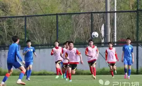 苏州足球阵容