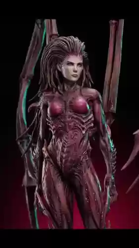 与刀锋女王搭配的武器插图