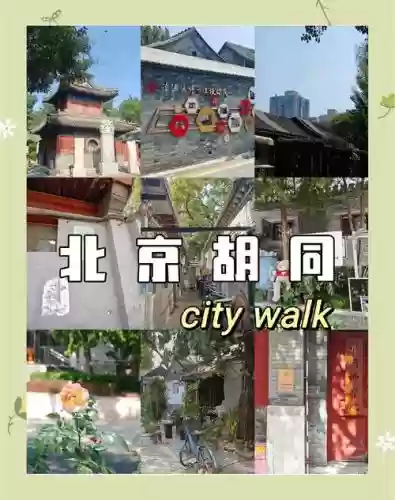 胡同访古阵容
