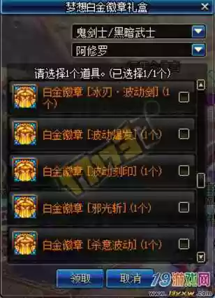 白金徽章镶嵌装备绑定插图1