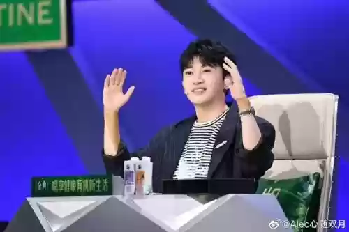 苏有朋阵容了吗