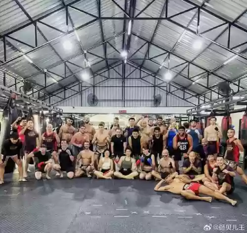 健身岚阵容